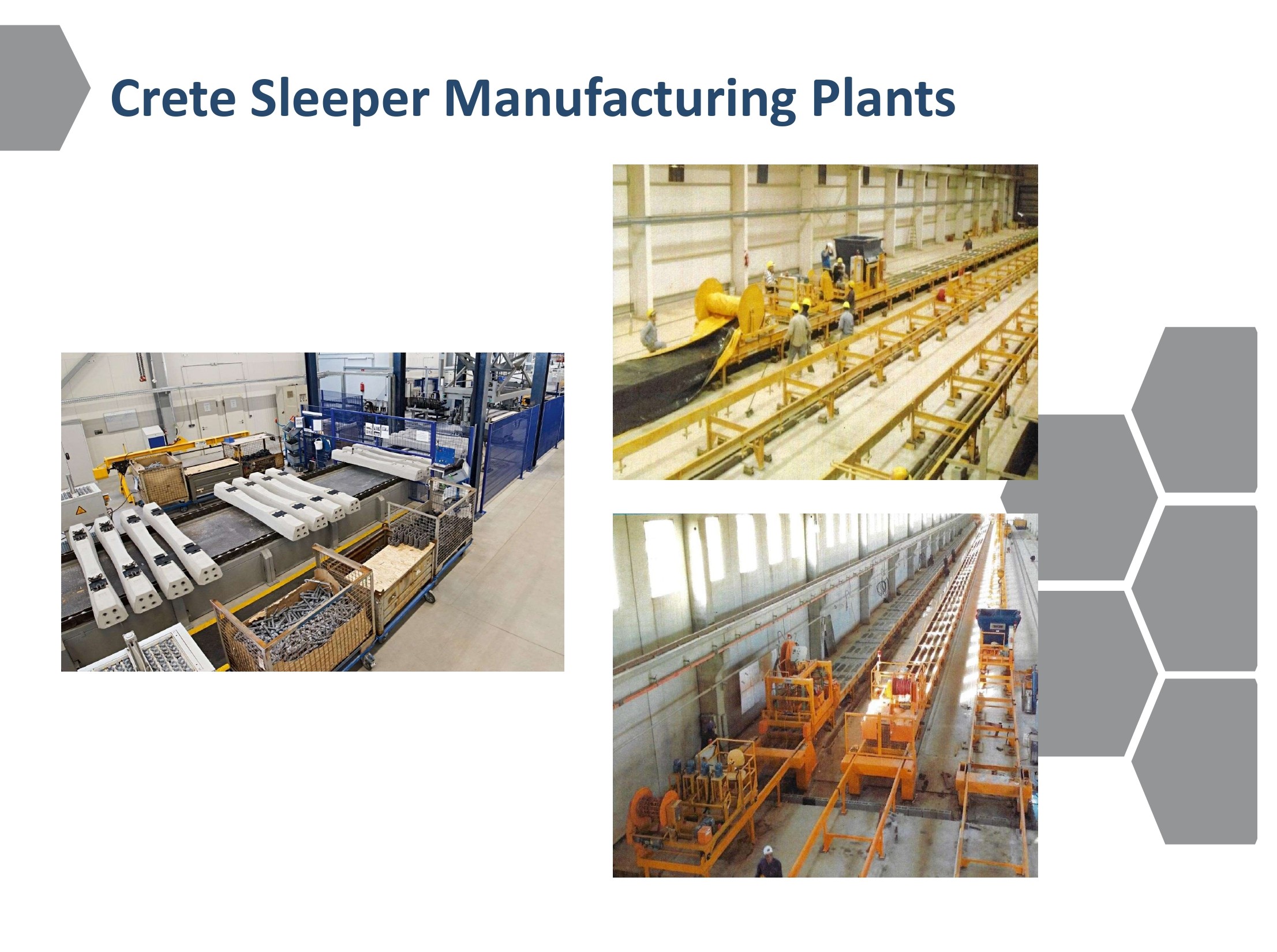 Crete Sleeper Plants